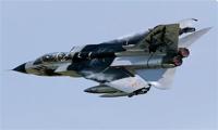 Italeri 1/48 Tornado IDS Black Panthers - thumbnail