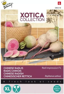 Xotica Japanse Radijs Red Impression F1 zaden Buzzy - Buzzy