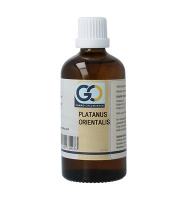 GO Platanus orientalis BIO