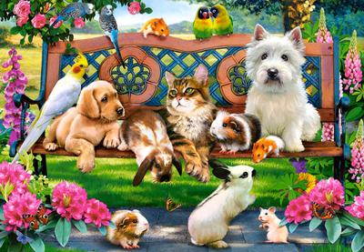 Castorland legpuzzel pets in the park, 1000st. Castorland legpuzzel pets in the park, 1000st.