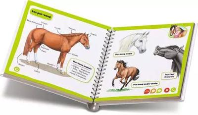 tiptoi, Interactief Boek, Mini Doc' Paarden en Pony's, 4 jaar oud, 13099020, Ravensburger