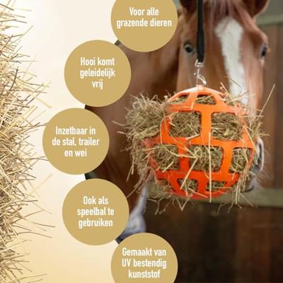 Hay Slowfeeder fun and flex 22 cm Oranje Bal