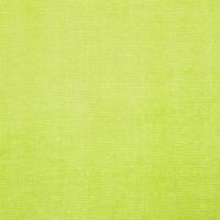 Gordijnen voile met doorvoertules 2 st 140x175 cm appelgroen - thumbnail