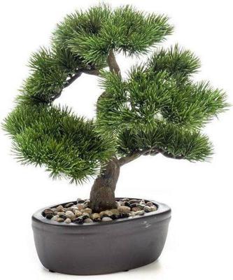Zijdeplant Bonsai Pinus kunstplant Driesprong Collection - Driesprong collection