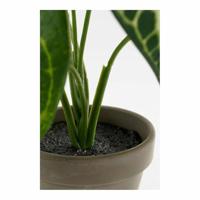 Decoratieve plant Mica Decorations Caladium Ø 21 x 28 cm Kunstmatig - thumbnail