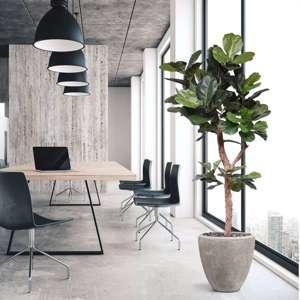 Lyrata Deluxe kunstboom Y stam 210cm