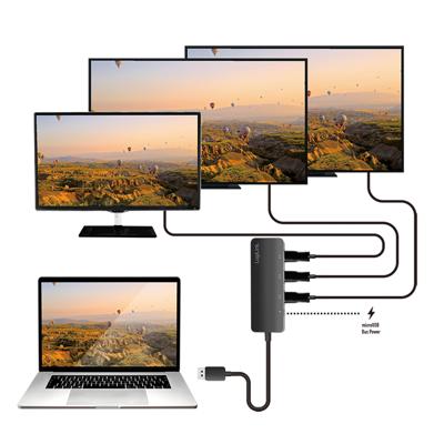 LogiLink CV0146 DisplayPort-splitter Zwart