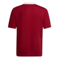 adidas Entrada 22 Voetbalshirt Kids Rood Wit - thumbnail