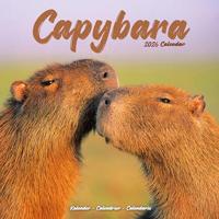 Capybara Calendar 2026 Square Animal Wall Calendar - 16 Month - thumbnail