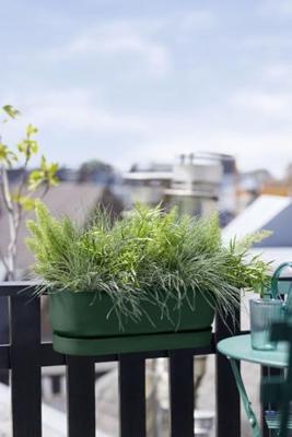 Bloempot Elho Groen 21,2 x 52 x 19,4 cm