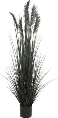 Siergras in pot 152 cm zwart Hortus - Hortus Siergras in pot 152 cm zwart Hortus - Hortus