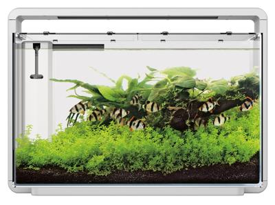 Superfish Home 65 aquarium wit