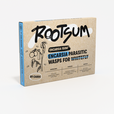 ENCARSIA | Sluipwespen tegen witte vlieg - 150 m²