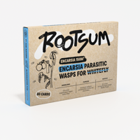 ENCARSIA | Sluipwespen tegen witte vlieg - 150 m² - thumbnail