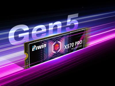 Hard Drive Biwin X570 Pro 1 TB SSD