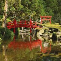 Notitieboek Cherry Blossom - thumbnail