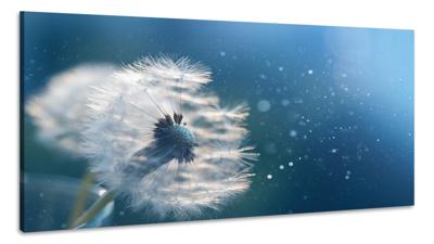 Schilderij Portret van een Leeuw, 2 maten, premium print