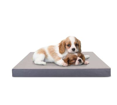 Nobleza Orthopedische hondenkussen - Maat S - 40x60 cm Nobleza Orthopedische hondenkussen - Maat S - 40x60 cm