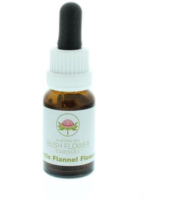 Australian Bush Little flannel flower 15 Milliliter