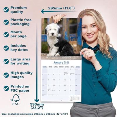 Old English Sheepdog Kalender 2026