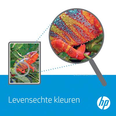 HP Inktcartridge 951 Origineel Cyaan CN050AE Inkt