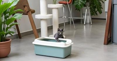 Rotho Eco Bonnie Kattenbak met Boveningang M Groen/Zand