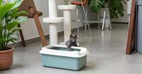 Rotho Eco Bonnie Kattenbak met Boveningang M Groen/Zand - thumbnail