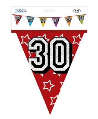 Vlaggenlijn Holografisch 30 Jaar - 8 Meter