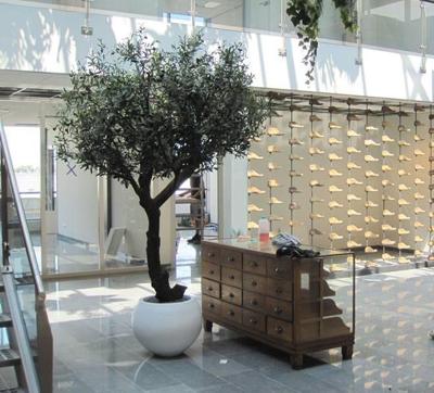 Olijf Giant Y stam kunstboom 270cm