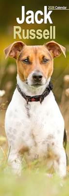 Jack Russell Terrier Kalender 2026 Slimline