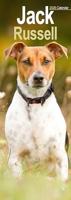 Jack Russell Terrier Kalender 2026 Slimline - thumbnail