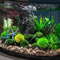 BiOrb moskiezel set aquarium decoratie - thumbnail