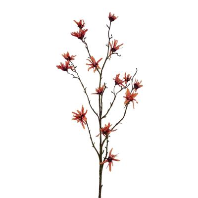 Roberts Collection Kunstbloem hamamelis oranje 120cm Roberts Collection Kunstbloem hamamelis oranje 120cm