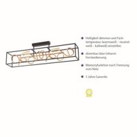 Paul Neuhaus Zwart gouden plafondlampSelina - 6473-18 - thumbnail