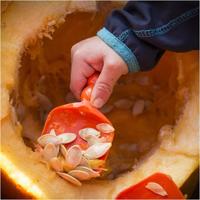 Creativ Company Pompoen snijden set, 1 set - thumbnail