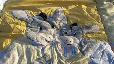 Bense en Eicke Elektrolyten