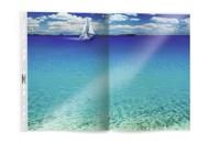 Showtas, dwars 50 stuks - thumbnail