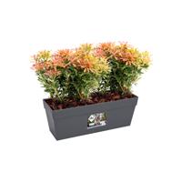 Elho loft urban trough balkonbak 50 antraciet - thumbnail