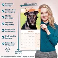 Patterdale Terrier Kalender 2026 - thumbnail