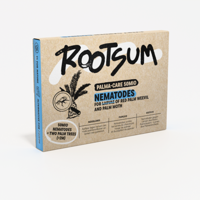 PALMA-CARE | Aaltjes tegen rode palmkever 50 miljoen - thumbnail