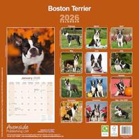 Boston Terrier Kalender 2026 - thumbnail