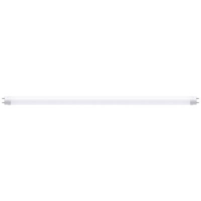 Paulmann LED-buis-Buis Energielabel: F (A - G) G13 9.5 W Warmwit 1 stuk(s) (Ø) 28 mm
