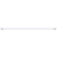 Paulmann LED-buis-Buis Energielabel: F (A - G) G13 9.5 W Warmwit 1 stuk(s) (Ø) 28 mm - thumbnail