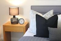 TFA Dostmann 60.1043.10 Wekker Kwarts Grijs Alarmtijden 1 Slepend uurwerk (geluidsloos) - thumbnail