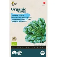 Organic Tatsoi (Bio) zaden Buzzy - Buzzy - thumbnail