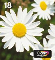 Epson Daisy Multipack 4-colours 18 EasyMail - thumbnail