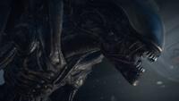 Alien Isolation - thumbnail