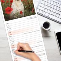 Labrador Retriever Blond Kalender 2026 Slimline - thumbnail