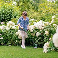 Bosch Home and Garden EasyGrassCut 18V-230 Grastrimmer Accu Incl. accu, Incl. oplader 18 V 2 Ah Snijbreedte max.: 23 cm - thumbnail
