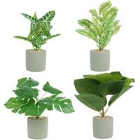 Kunstplant in cementen pot 4 assorti 35 cm | 12 stuks - thumbnail